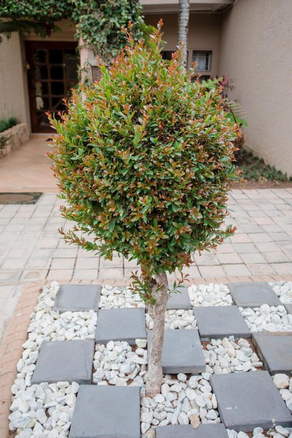 4 Gazelle Guesthouse Mbombela Bagian luar foto